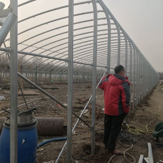 天津椭圆管暖棚  钢管代替后墙暖棚～