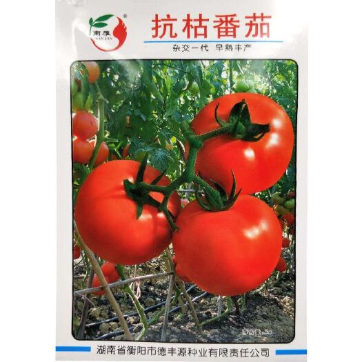 湘乡市番茄种子 有限生长型西红柿种子 果皮深红色果肉粉红无绿肩早熟