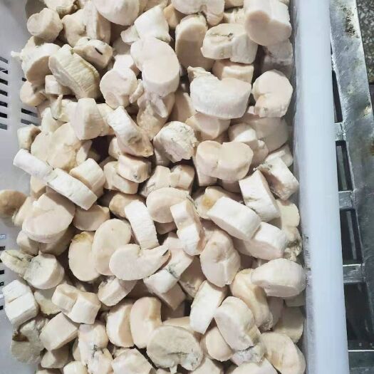 烟台冻贝柱 有点残的江瑶贝