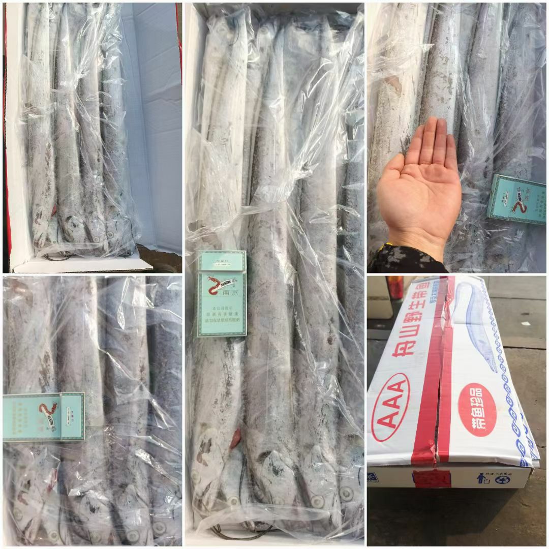 带鱼国产带鱼礼品箱带鱼舟山带鱼东海带鱼