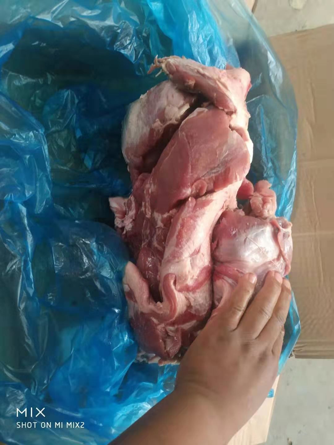 猪肉类  2/4号肉，去皮去骨去脂
