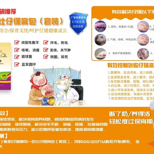 郑州浓缩料 浓缩饲料  小猪断奶必备产品:顽固性腹泻咳嗽消瘦链球