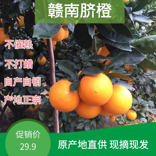 赣州赣南脐橙水果新鲜当季整箱橙子10斤应季正宗江西手剥橙