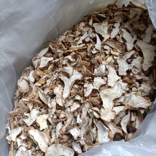 筠连县姜形黄精 黄精，姜型，多花倒苗黄精，现货出售，
