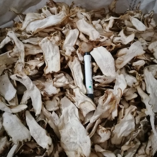 鄄城县广佛手  佛手，中药材批发，量大从优