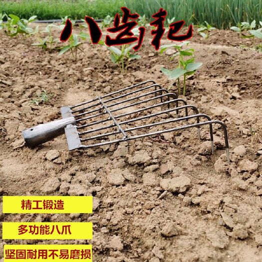 临沂锹锨铲类  园林工具八齿耙农具园林工具耙子园林园艺农具工具户