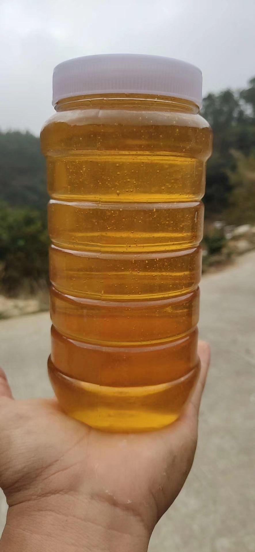 野生蜂蜜 寿乡浦北冬蜜