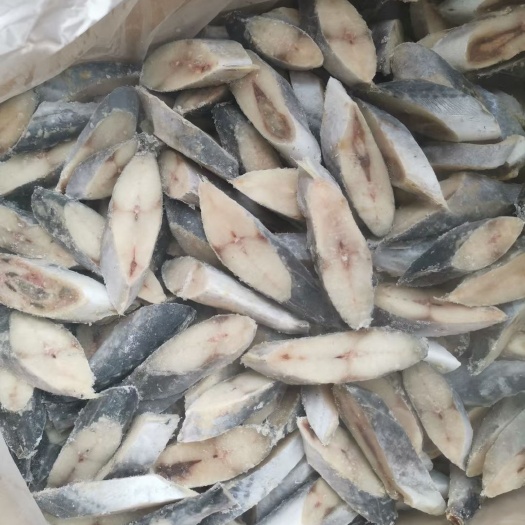 福州 马鲛鱼块批发