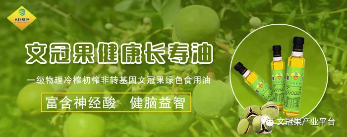 文冠果油大型文冠果油工厂资质齐全厂家直销量大从优