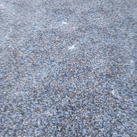 芒市土薏仁 