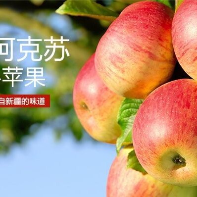 温宿县红富士苹果  阿克苏冰糖心苹果新疆阿克苏顺丰直发包邮包售后