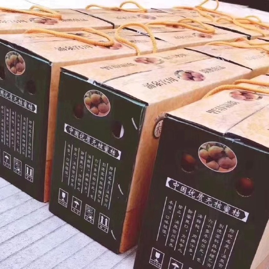临海市涌泉蜜桔 一级果