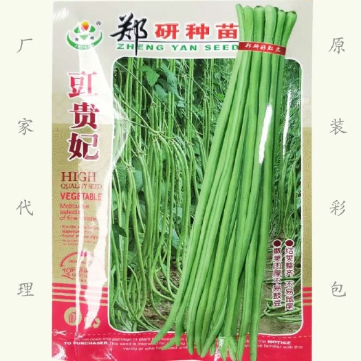 湘乡市豇豆种子 长豆角种子 中早熟荚长肉厚无鼓籽基地庭院春秋播