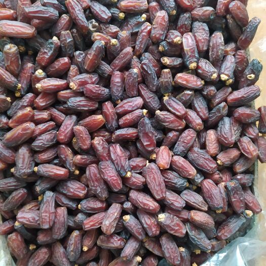 阿克陶县蜜枣 18-24个月