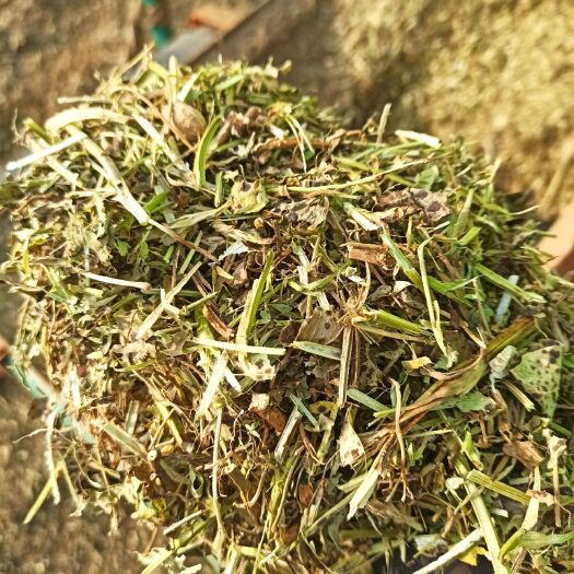 浚县花生秧  大量上市，一级绿草，可压块加工可二次加工需要的老板可以联系