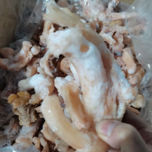 成都牛筋  牛蹄筋现货供应下单秒发  一手货源价格美丽