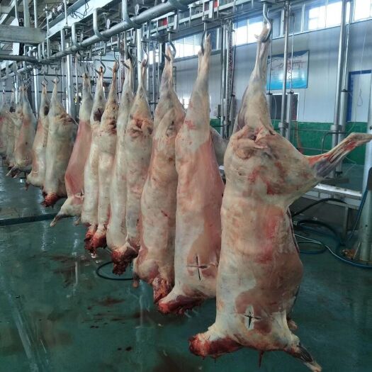 西宁羊肉 生肉 