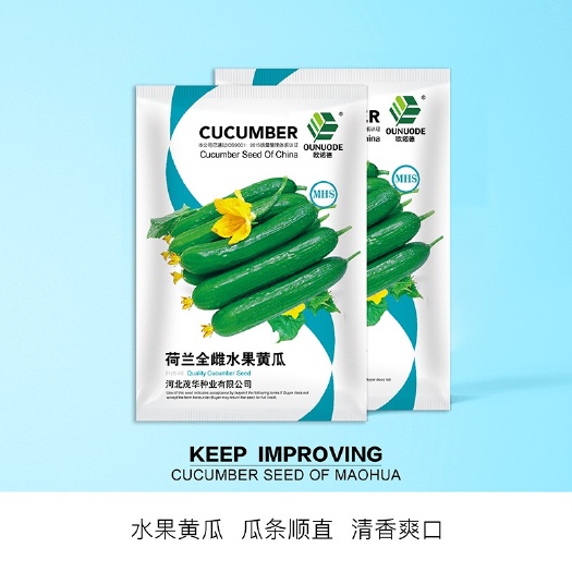 夏邑县荷兰全雌水果黄瓜种子