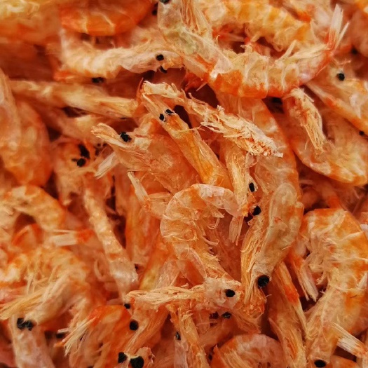 南极磷虾  深海磷虾  淡干无盐  产地直销 大量有货