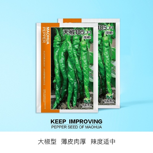 夏邑县螺丝椒种子  天椒105辣椒种子，大果型深绿色，皮薄质脆，辣味适中，品质好