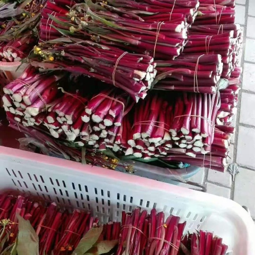 当阳市湖北当阳红菜苔新鲜直达 按需发货 安心选购