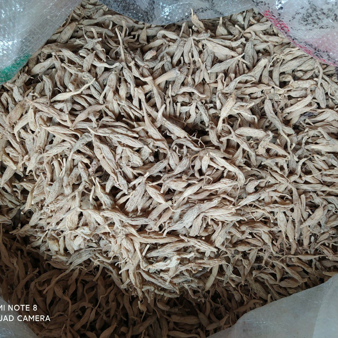 贵州铜仁非种植无硫麦冬干货无杂产地直发一手货源