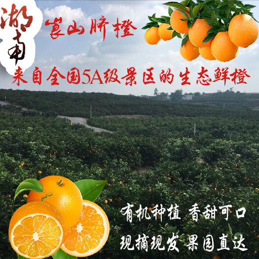 中国华橙之乡崀山脐橙生态种植香甜可口精选优果产地直销新鲜直达