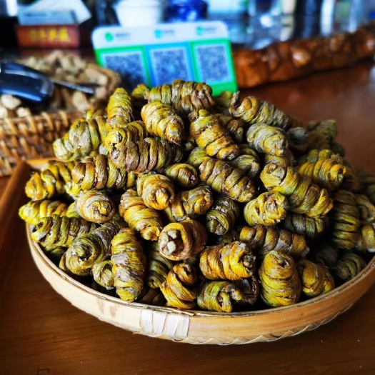昆山市 铁皮石斛