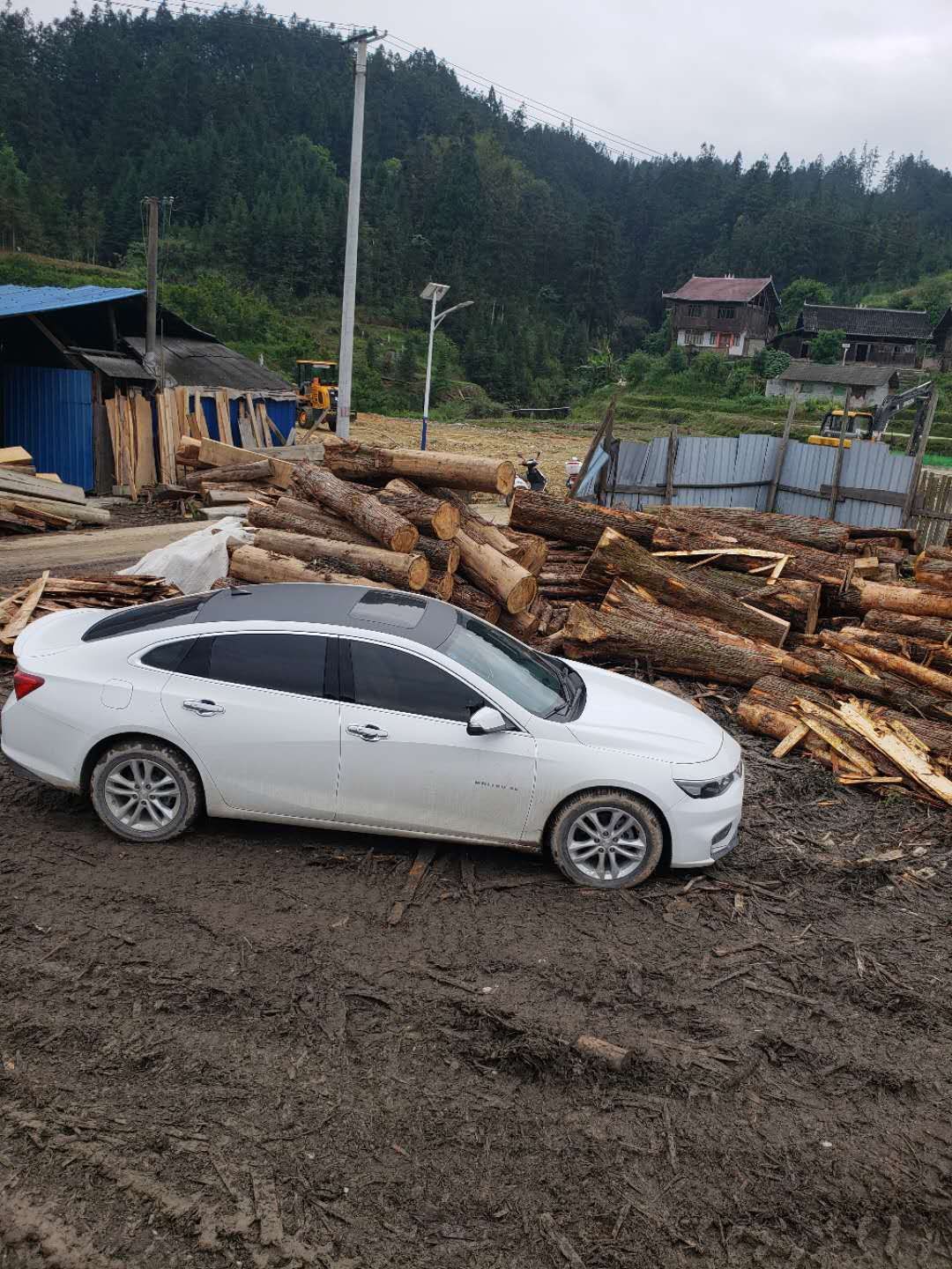 贵州优质杉木特殊规格材产地直销