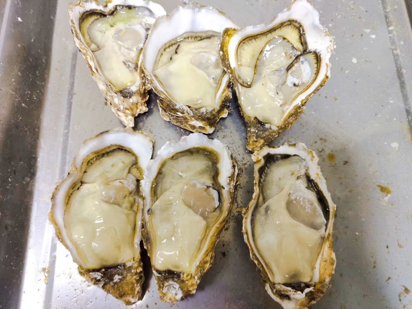 威海牡蛎  山东威海生蚝牡蛎养殖场直供一手货源批发