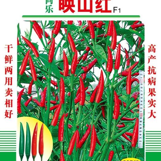 映山红超高产单生朝天椒种子一袋五克一千粒