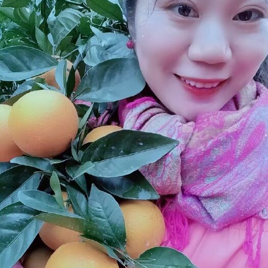 信丰县安西脐橙  赣南正宗安西血橙