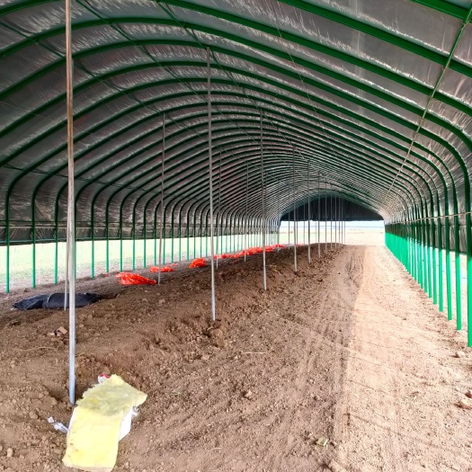 永城市 我厂专业搭建温室大棚，冷棚  暖棚     养殖大棚