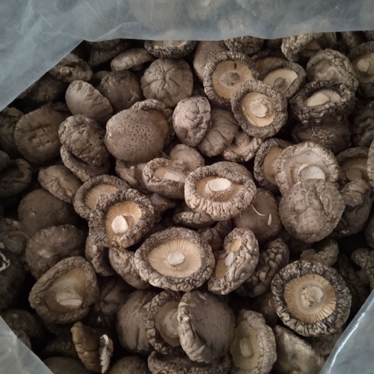 花菇  河南内乡山区农民自种肉厚干香菇剪腿，大量供应