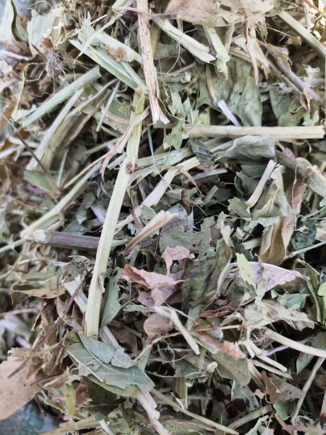 花生秧草料！羊草，牛草，马草，兔草，鹿草，馿草！