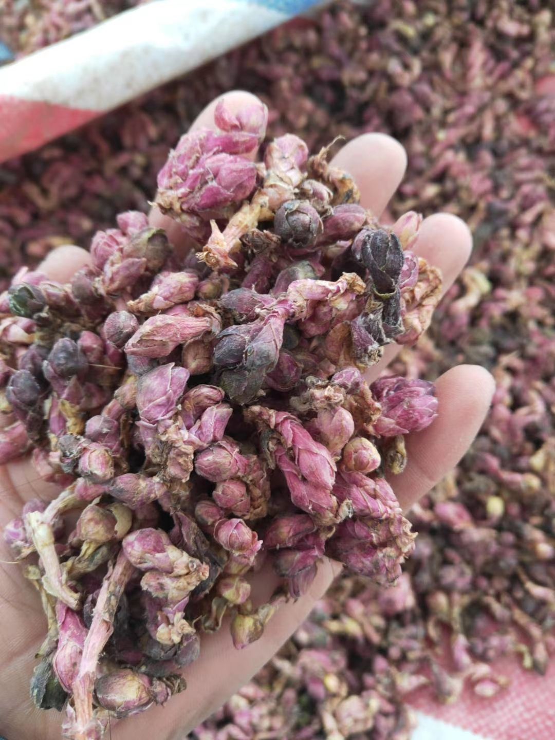 无硫新货款冬花