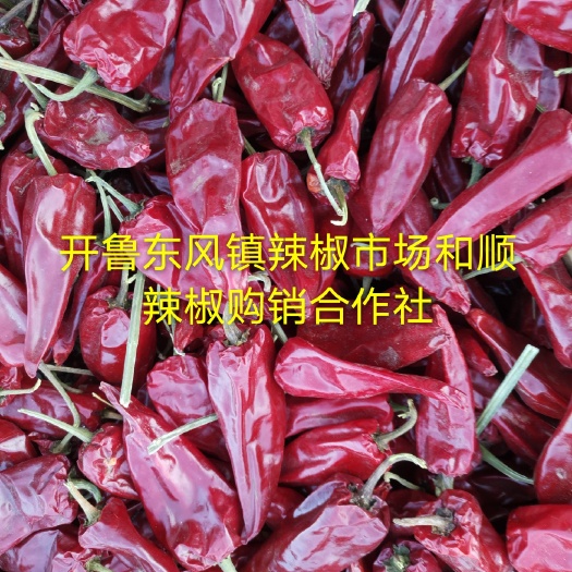 开鲁县北京红干辣椒 供应内蒙开鲁北京红，千金红干椒。各种花皮