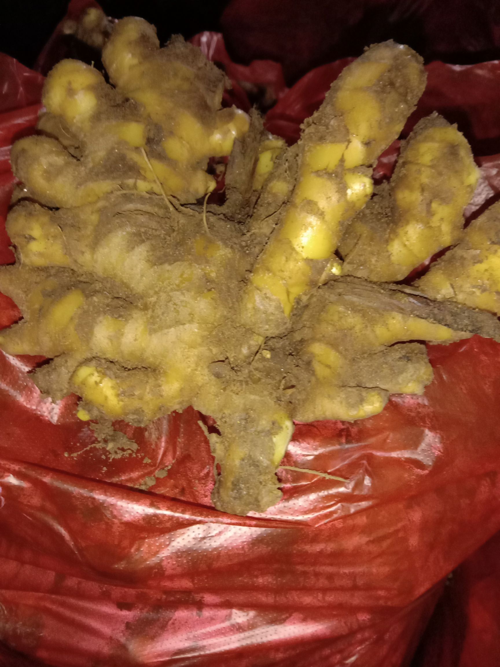 仔姜 混装通货 带土 