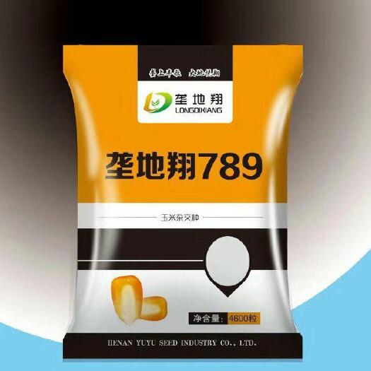 滑县玉米种子 垄地翔789玉米杂交种