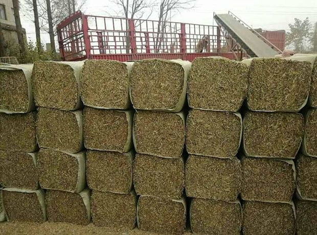 正阳县花生秧压块草料！干草料！