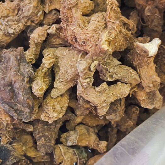 正安县 贵州产多花甜黄精