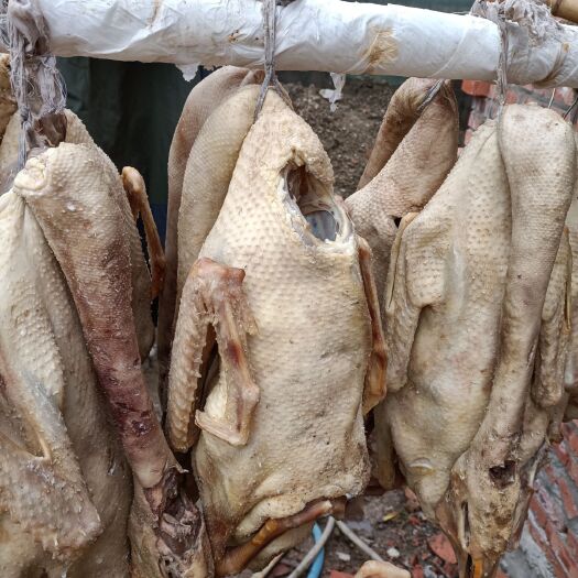 寿县腌鹅  皖西大白鹅一年生，散养喂杂粮，一散放为主，一只7至10斤
