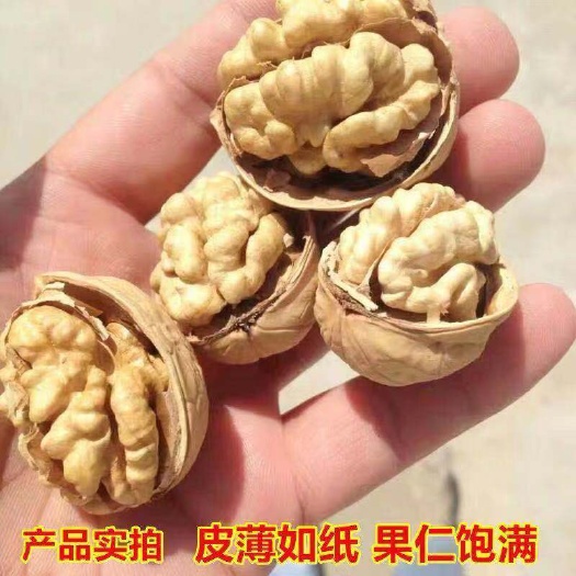 永城市纸皮核桃 30mm以上 散装 12-18个月 