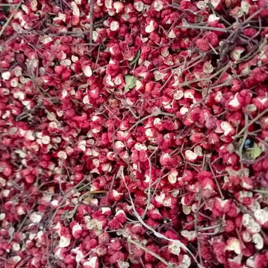 秦安县大红袍花椒 特级 干花椒 