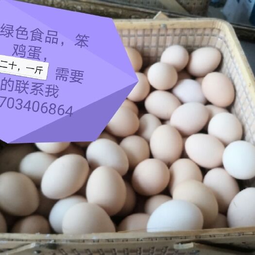 娄烦县土鸡蛋  家鸡蛋