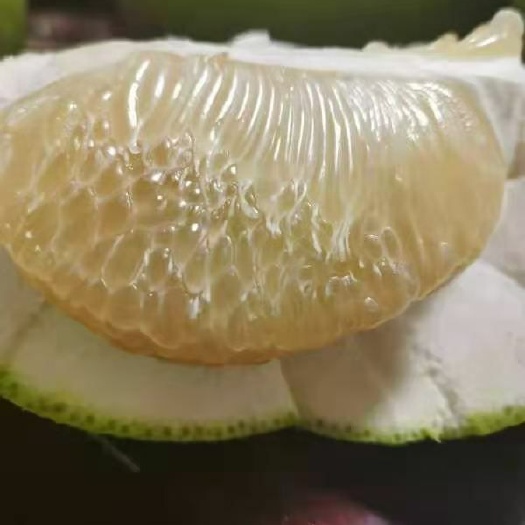 广西沙田柚 阳朔沙田柚自产自销白肉