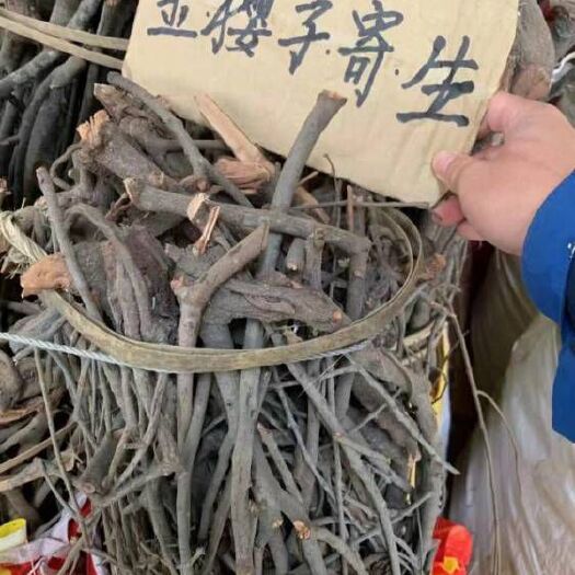 岑溪市金樱子寄生——头部带原木标记整把发货，一把5/6市斤
