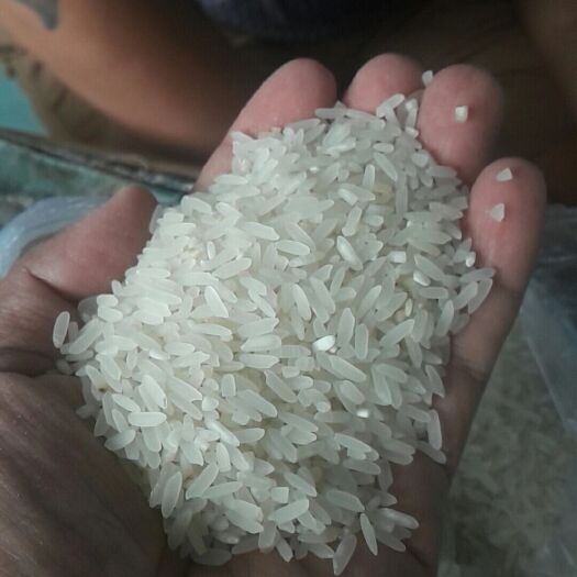 枝江市碎米 一等品 中稻 籼米 