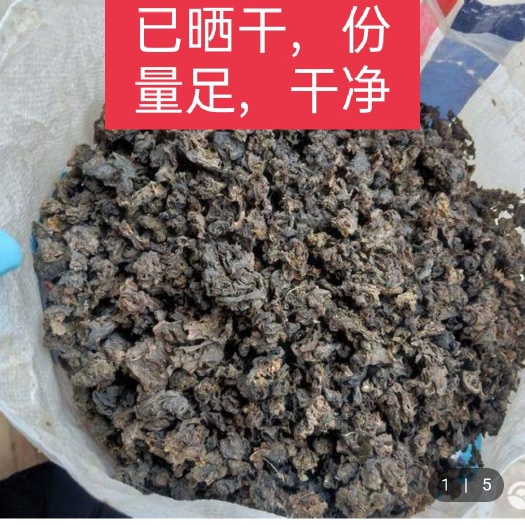 会宁县地皮菜 一级