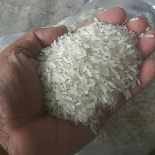 枝江市缅甸大米 正规缅甸优质大米